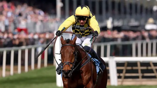 Salvator Mundi ridden by Paul Townend