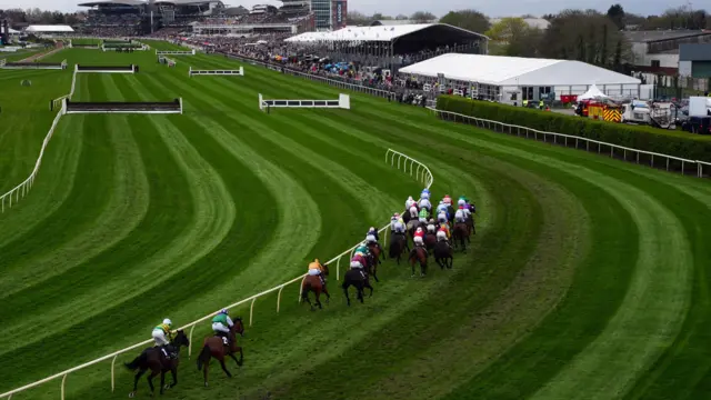 Horses in action at Aintree