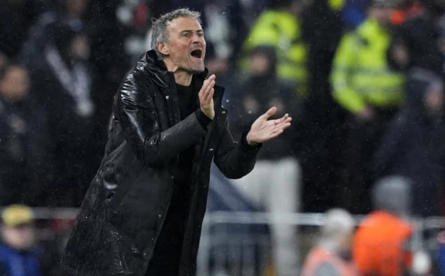 Paris Saint-Germain manager Luis Enrique