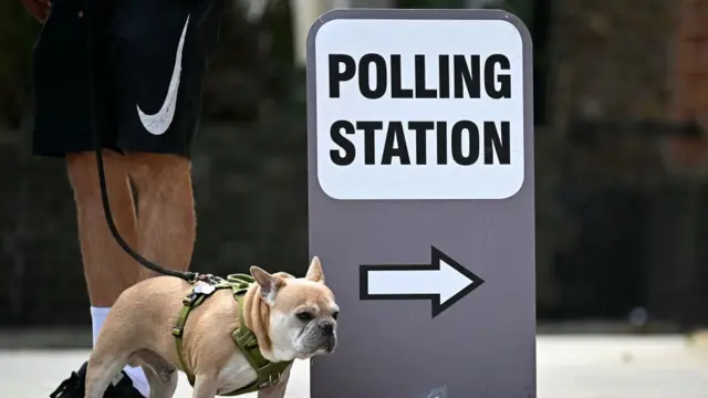 A dog stands by its owner next to a sign that reads "polling station"