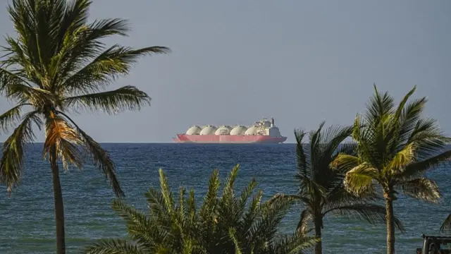 Ship travelling along Strait of Hormuz, there are several trees in the foreground.