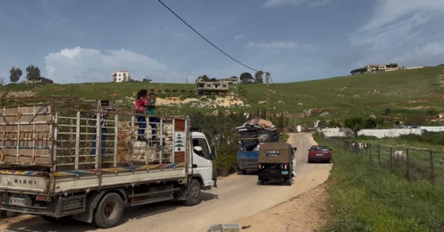 Loaded trucks make their way along a narrow road with rolling green hills in the backdrop