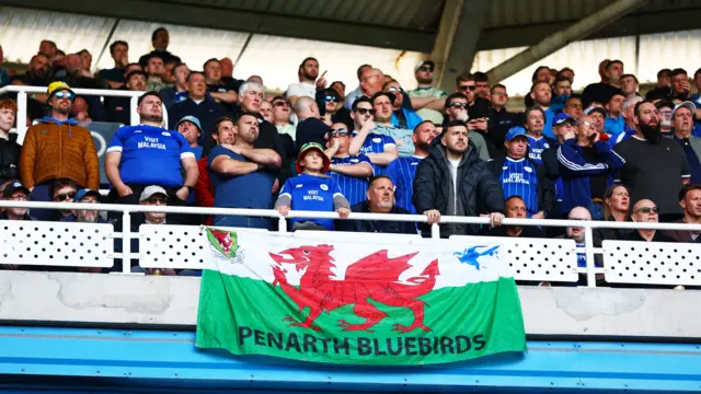 Cardiff fans at Reading