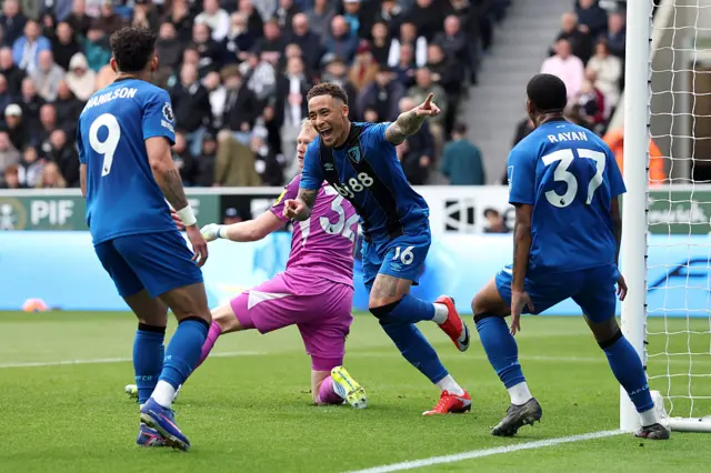 Marcus Tavernier