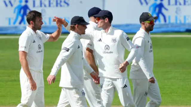 Gloucestershire players celebrate a wicket