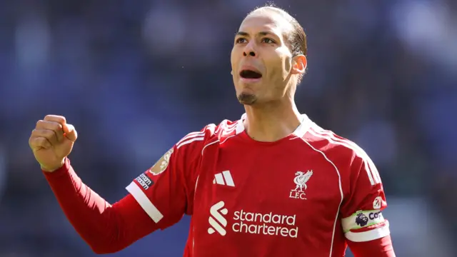 Virgil van Dijk celebrates