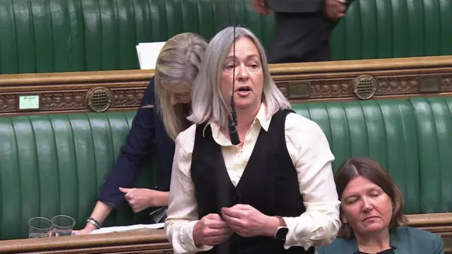 Liz Saville-Roberts speaking in the House of Commons