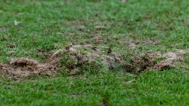 Pitch