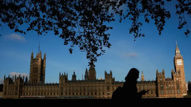 A person in shadow walking past the Palace of Westminster while the sun is shining