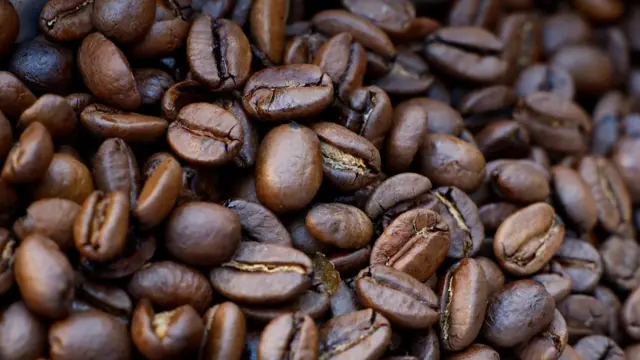 Arabica roasted coffee beans are displayed in a coffee roasting shop