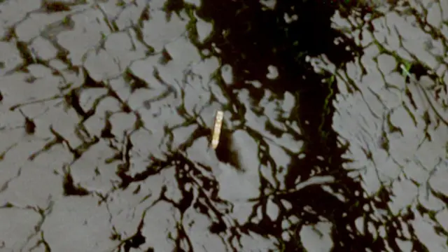 A satellite image shows the Liberia-flagged Epaminondas container ship, April 22, 2026