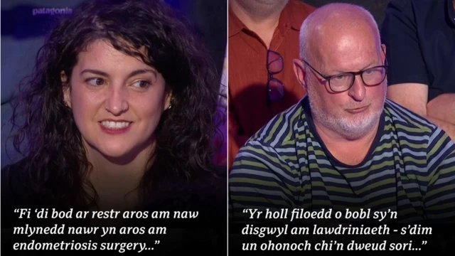 Dyfyniadau