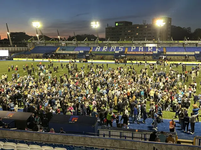 Cardiff fans on the pitch