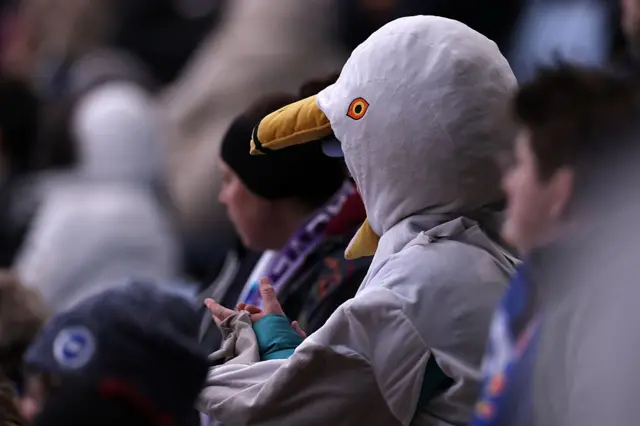 Brighton fan wears a seagull mask