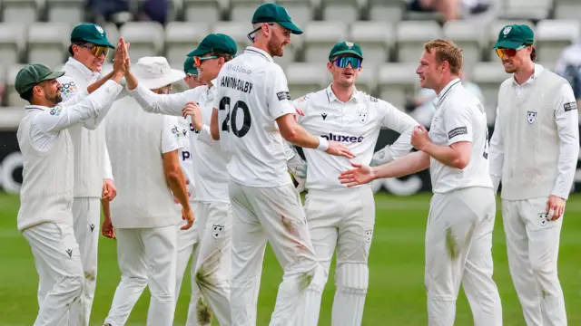 Worcestershire players after a wicket