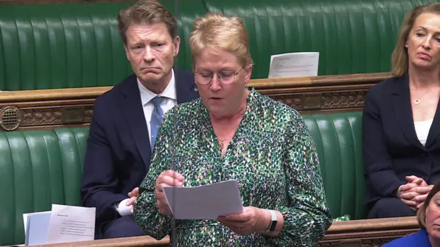 Ann Davies stands in the House of Commons