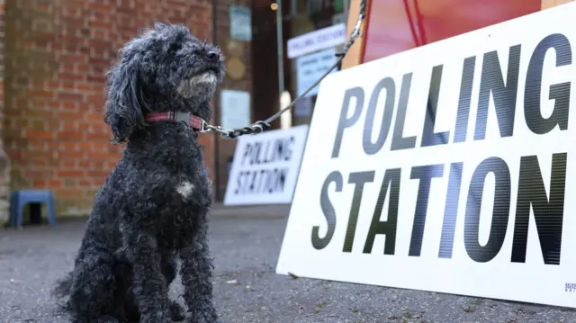 A black dog with curly fur sitting next to a large sign that says 'polling station'