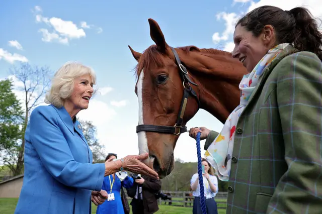 Queen Camilla, wearing blue, rubs a brown and white horse's nose as a woman in green jacket holds it in place