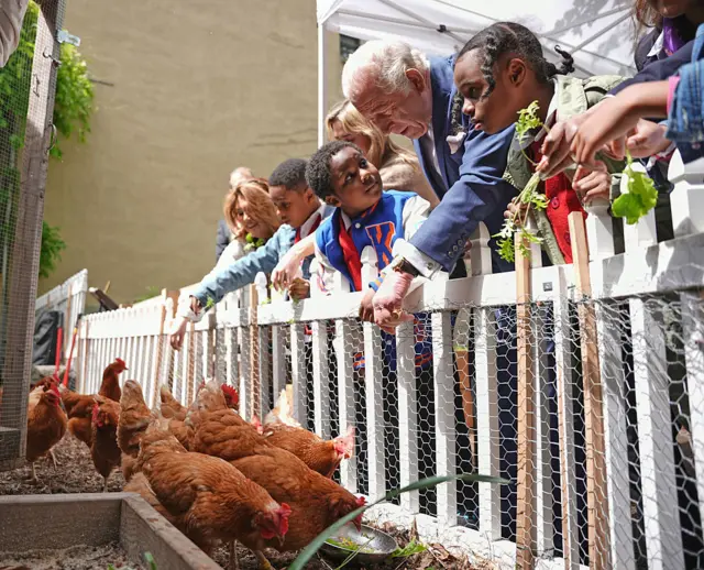 Britain's King Charles III feeds chickens during an event at Harlem Grown on April 29, 2026 in New York City