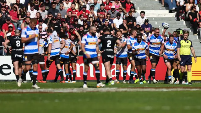 Stormers celebrate