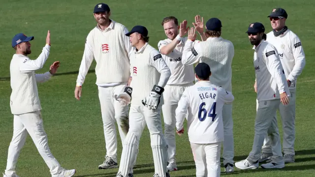 Essex players congratulate each other