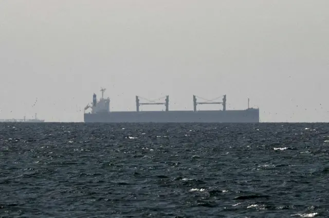 A cargo ship in the Gulf, near the Strait of Hormuz, in a photo taken last month