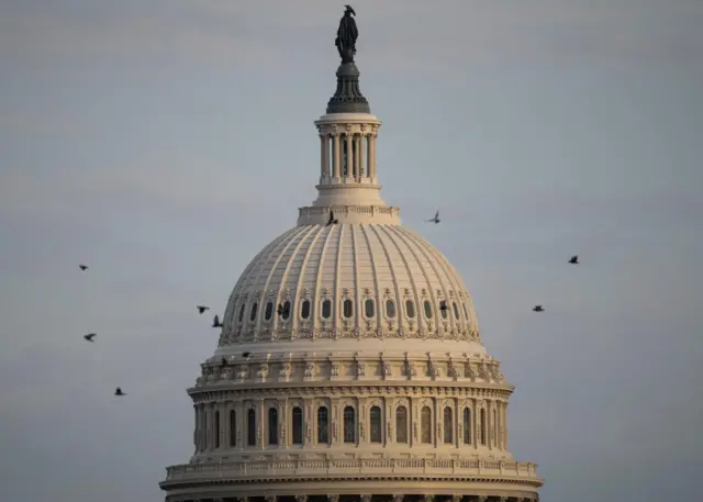 The US Capitol Building dome
