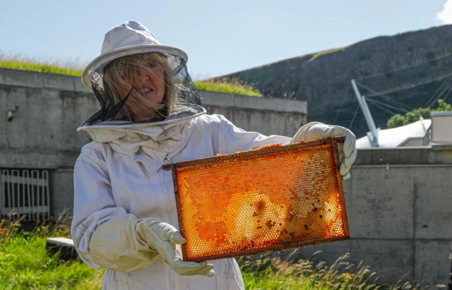 Presiding Officer Alison Johnstone gets busy with the Holyrood bees