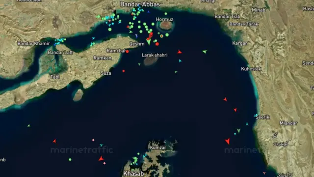 A screenshot of the Strait of Hormuz from ship-tracker MarineTraffic, it shows of ships either side of the Strait, which runs between Iran and Oman, and has almost no vessels inside it
