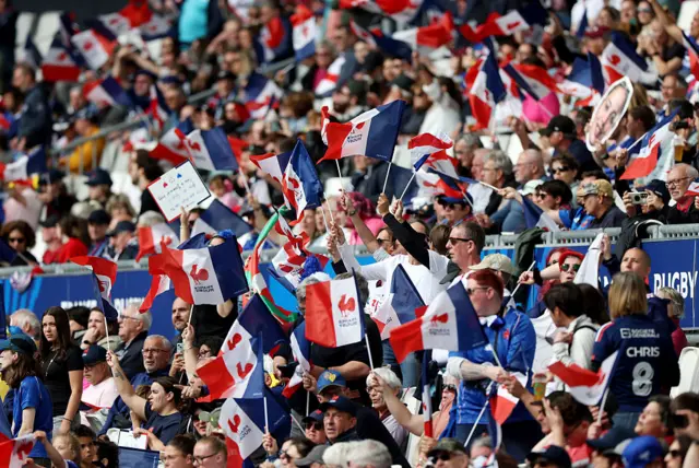 French fans waving the ball