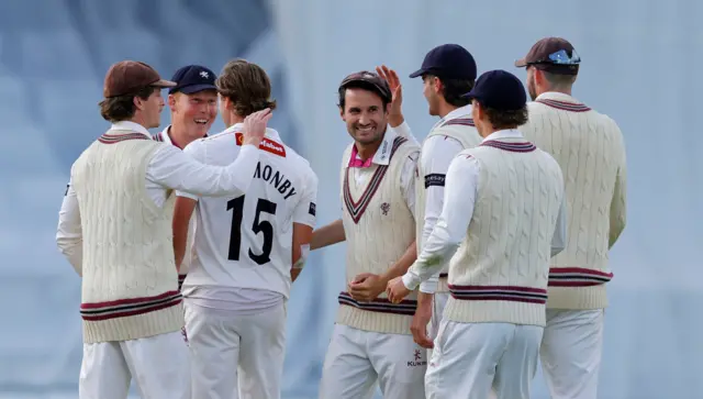 Somerset celebrate Daniel Hughes' dismissal