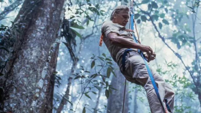 David Attenborough abseiling in Venezuela