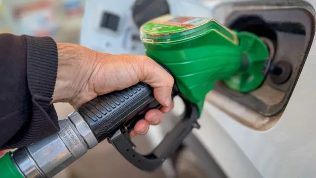 Person putting petrol in car