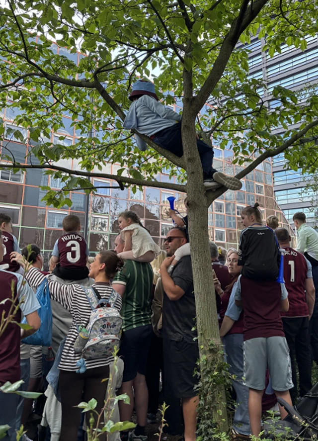 a villa fan climbs a tree for a better view