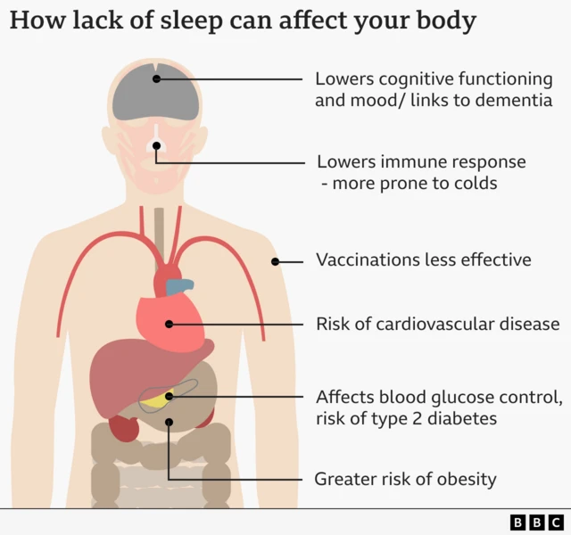 Graphic showing how lack of sleep can affect your body. Lowers cognitive functioning and mood/links to dementia. Lowers immune response - more prone to colds. Vaccinations less effective. Risk of cardiovascular disease. Affects blood glucose control, risk of type 2 diabetes. Greater risk of obesity.