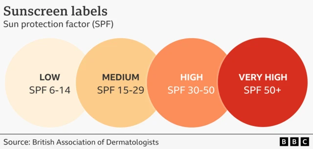 Infographic titled “Sunscreen labels” explaining sun protection factor (SPF) categories. Four large coloured circles are displayed side by side, each labelled with a level of protection: - Light beige circle: “LOW – SPF 6–14” - Light orange circle: “MEDIUM – SPF 15–29” - Orange circle: “HIGH – SPF 30–50” - Red circle: “VERY HIGH – SPF 50+” A caption at the bottom credits the British Association of Dermatologists, and a BBC logo appears in the corner.