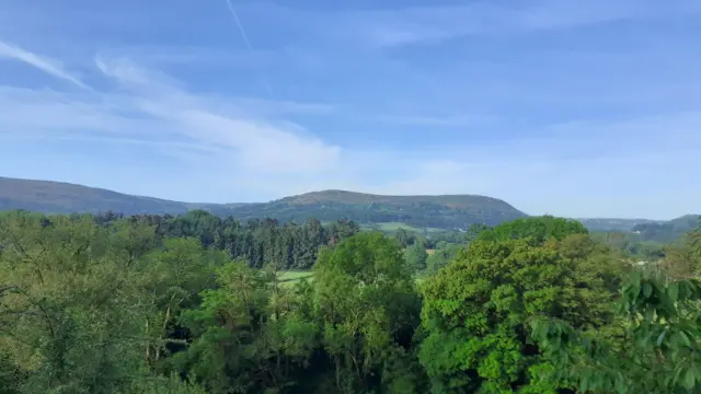 A sunny view across rolling trees and hills with a clear blue sky
