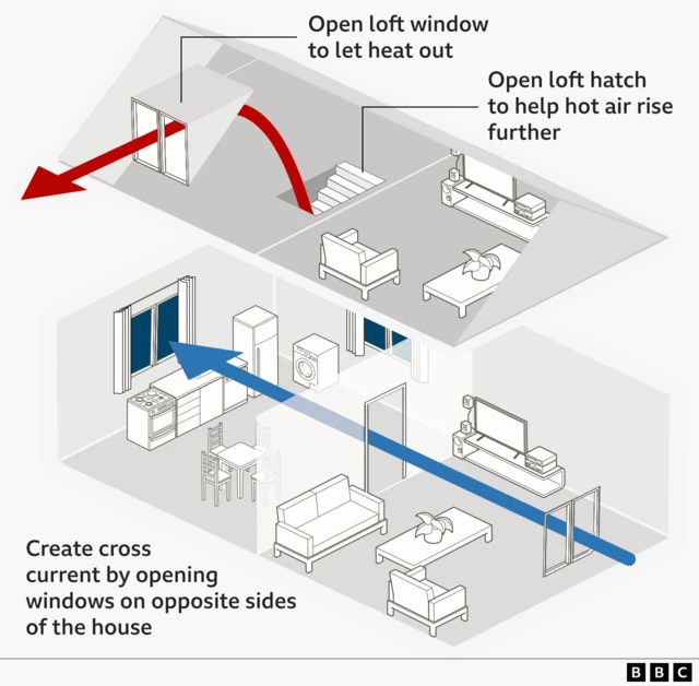Infographic showing how to ventilate a home to keep it cool. A cutaway house diagram illustrates airflow with arrows: a blue arrow shows cooler air entering through an open ground-floor window, while a red arrow shows warm air rising and exiting through an open loft window. Text explains: “Open loft window to let heat out,” “Open loft hatch to help hot air rise further,” and “Create cross current by opening windows on opposite sides of the house.” The rooms include a kitchen and living area with furniture and appliances. A BBC logo appears at the bottom.
