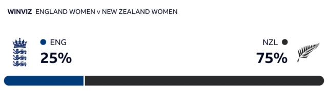 WinViz has it 75-25 in New Zealand's favour against England