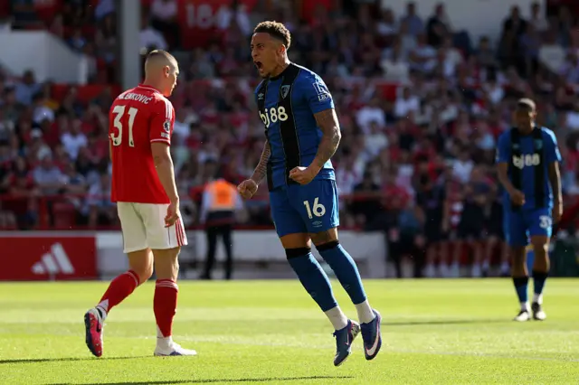 Marcus Tavernier