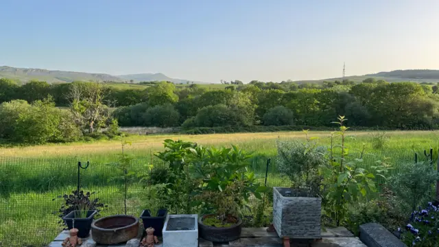 Sun across the rolling hills with trees in the background