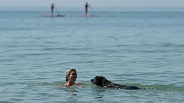 A swimmer and dog enjoy the cool sea temperatures off the beach in Brighton, on the south coast of England on May 25, 2026