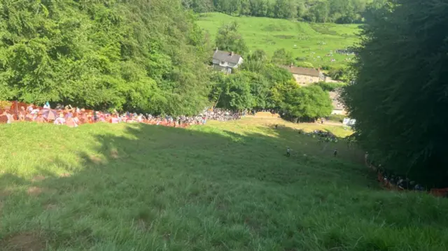 A steep hill is pictured mostly in the shade with huge trees either side. There are houses at the bottom.