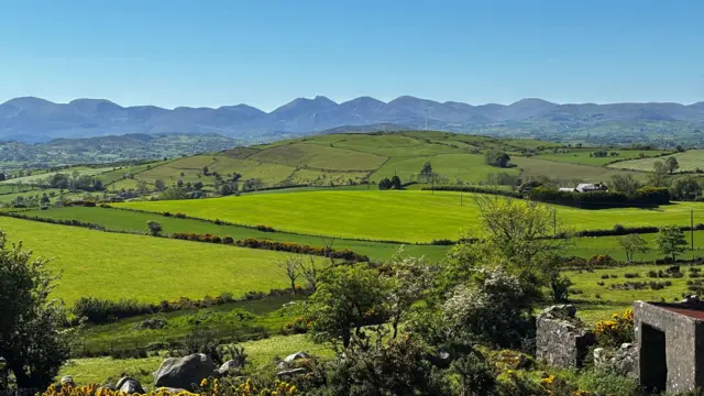Rolling fields in the distance with mountains far away. It's sunny and the grass is very green
