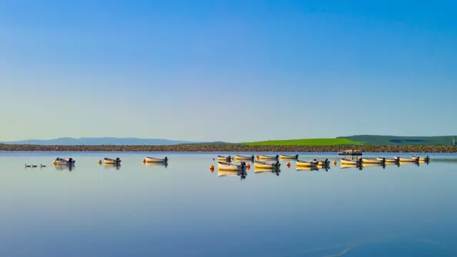 Two rows of small engine boats sitting on calm still water in front of a rocky shore and rolling green fields