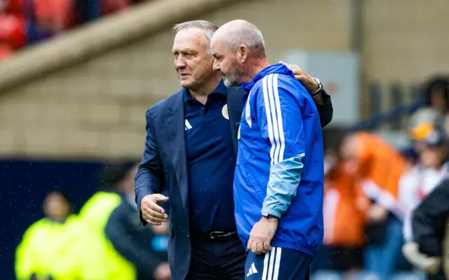 Dick Advocaat and Steve Clarke share a word at full-time
