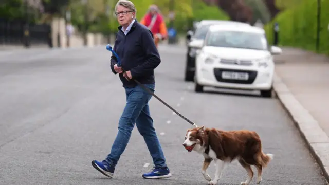 Peter Mandelson, an older man with glasses, a quarter-zip pullover and jeans, walking his dog across a road.