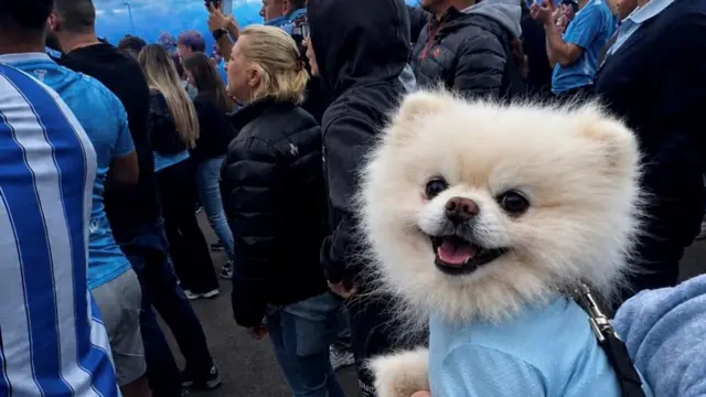 Dog