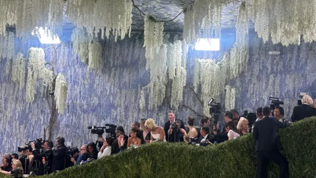 Shot of the red carpet