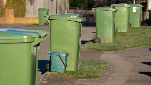 Green wheelie bins and small green food waste bins lining a roadside